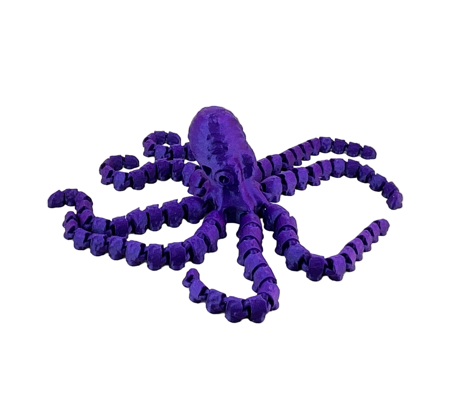 Large Octopus