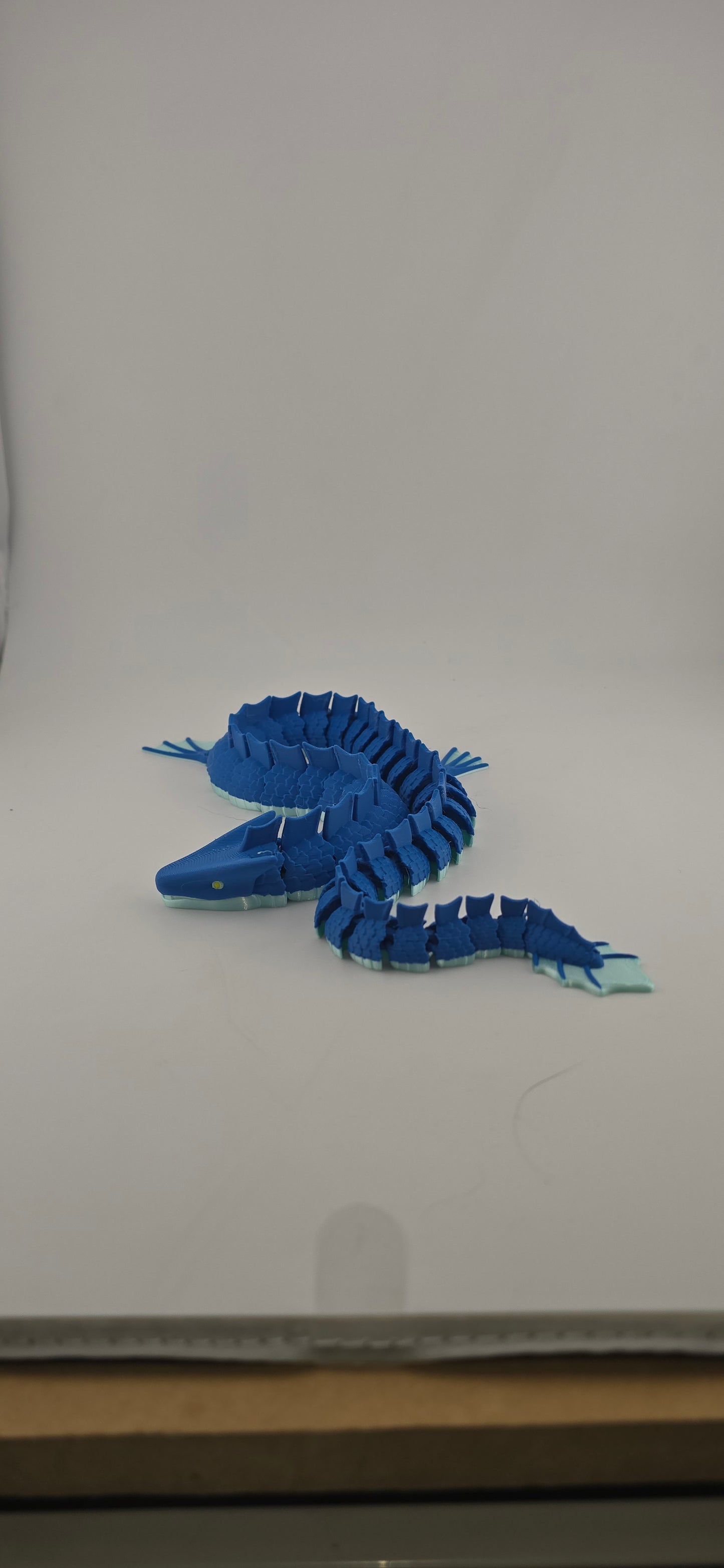 Water Dragon