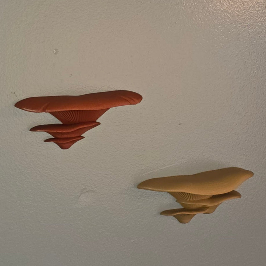 mushroom wall shelf