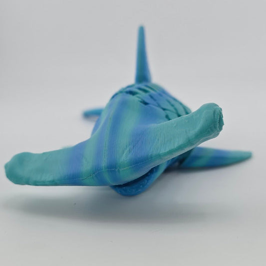 Super hammerhead shark