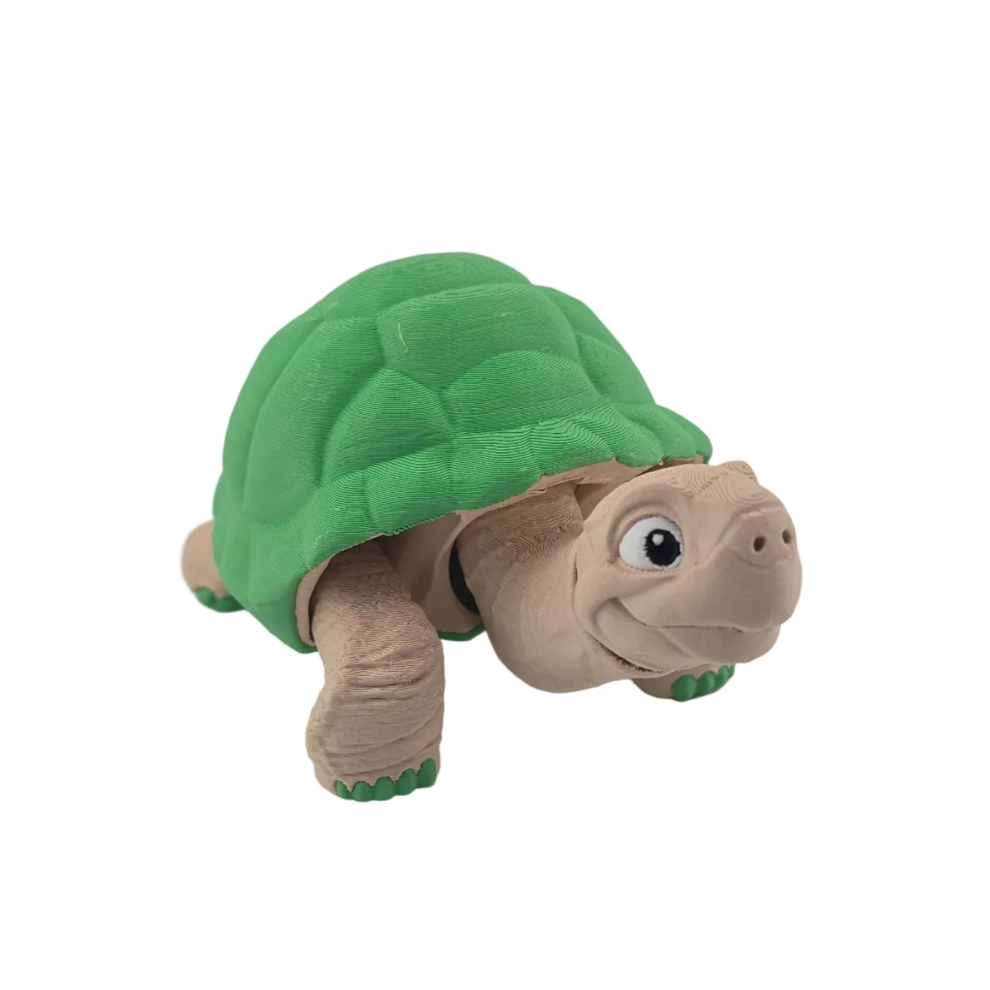 Tortoise