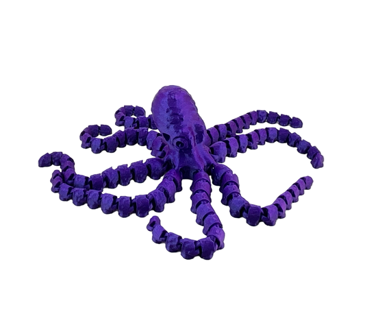 Large Octopus