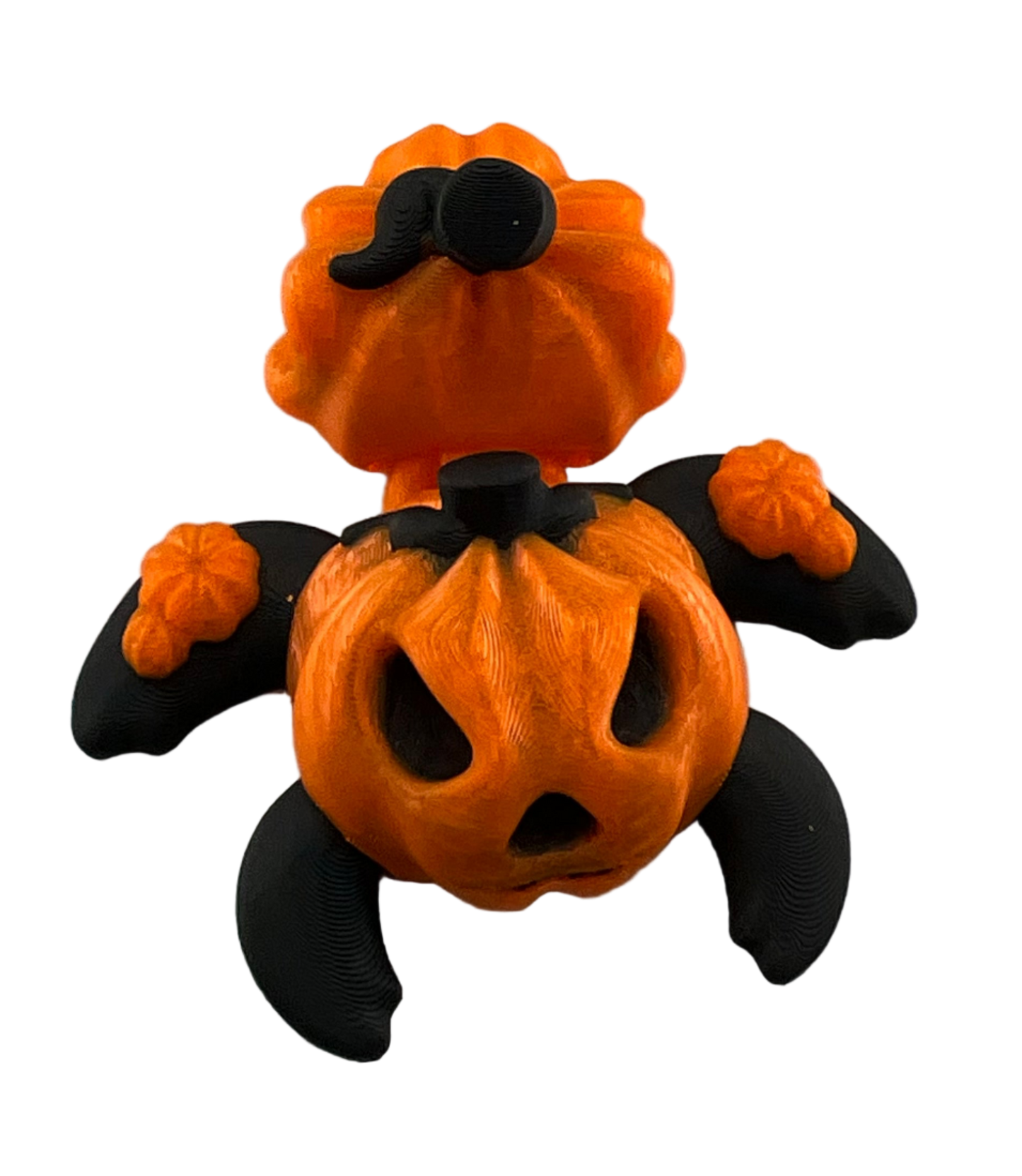 Pumpkin Turtle
